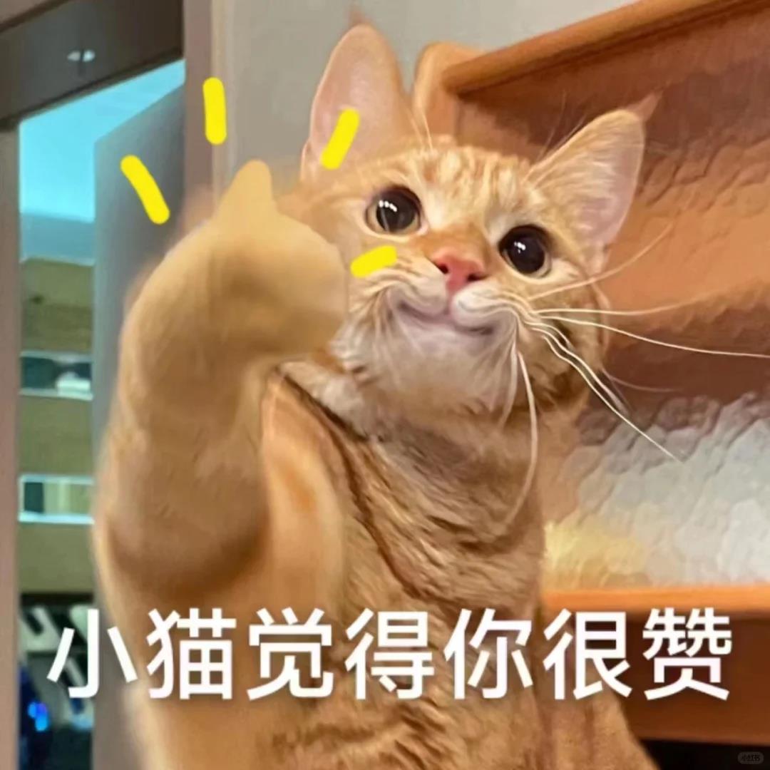 DƬ